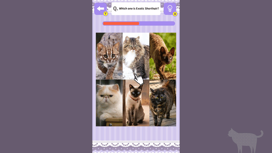 Cat Spotting Challenge! Screenshot