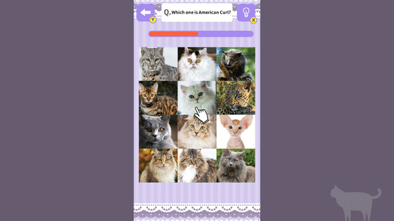 Cat Spotting Challenge! Screenshot