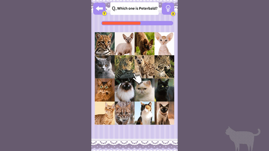 Cat Spotting Challenge! Screenshot