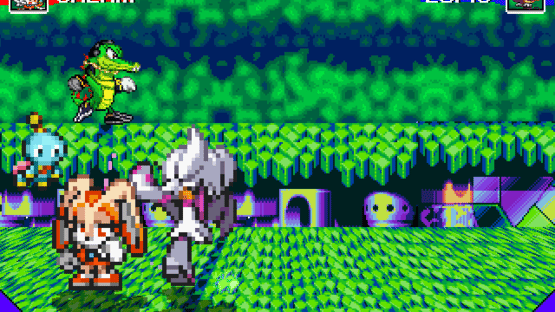 Team Sonic Fighters Screenshot