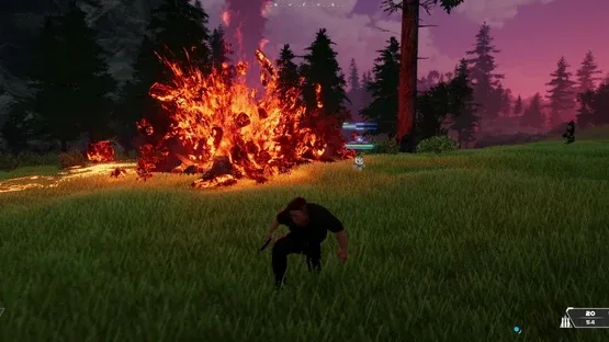 Thumbnail 20