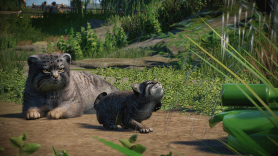 Planet Zoo: Zookeepers Animal Pack Screenshot