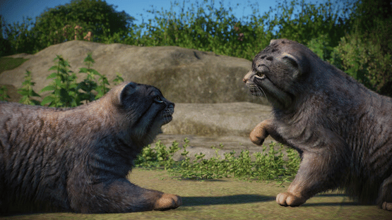 Planet Zoo: Zookeepers Animal Pack Screenshot
