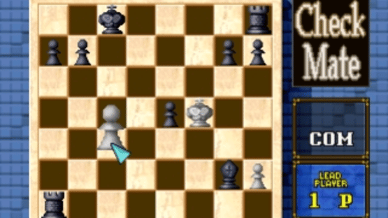 Check Mate Screenshot
