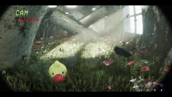 Thumbnail 17