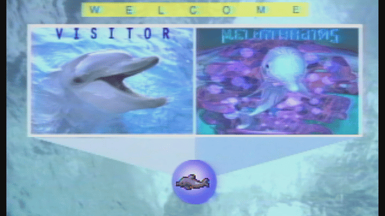 Melon Brains: Exploring The Mind Of The Dolphin Screenshot