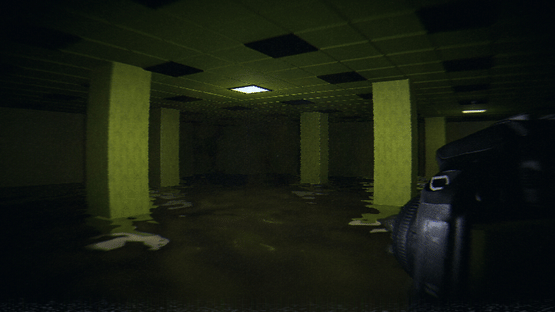 HorrorCore: Maze and Pools of Horror Screenshot