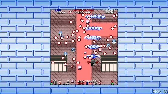 Touhou Chouhatsuyou: Burgeoning Tresses of Longevity gameplay screenshot 3