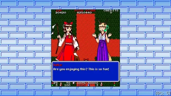 Touhou Chouhatsuyou: Burgeoning Tresses of Longevity gameplay screenshot 5