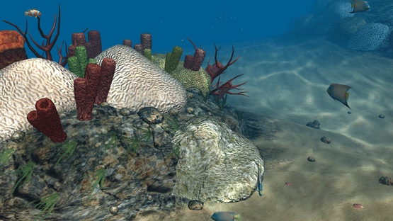 OceanDive Screenshot