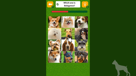 Dog Spotting Challenge! Screenshot