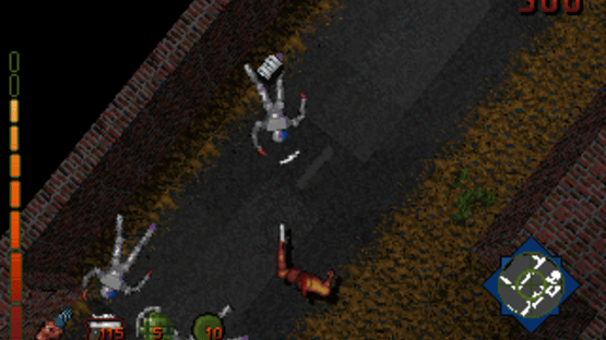 Project Paradise Screenshot
