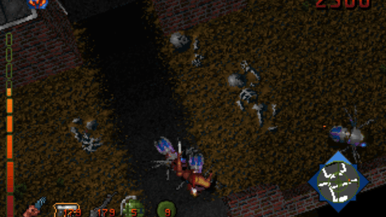 Project Paradise Screenshot