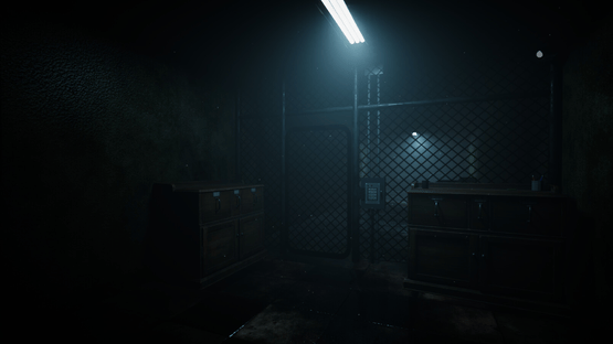 Forest Asylum Screenshot