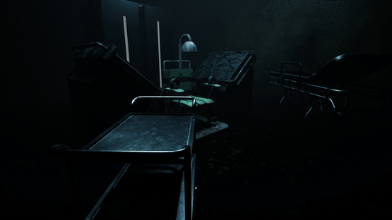 Forest Asylum Screenshot