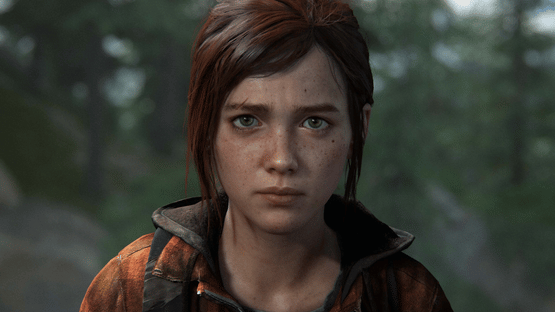 The Last of Us Complete Screenshot