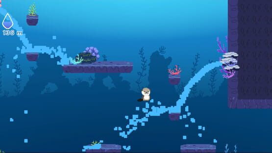 Ocean Otter Climb screenshot 2
