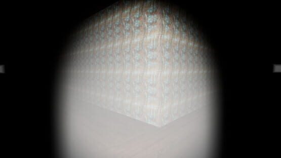 Thumbnail 13