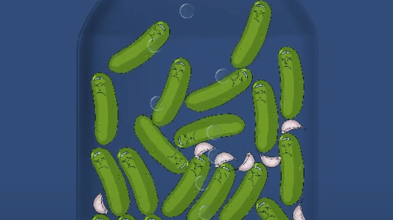 Pickle Theory Screenshot