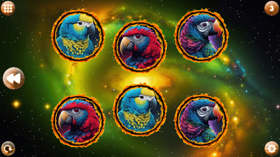 Space Memory: Parrots Screenshot