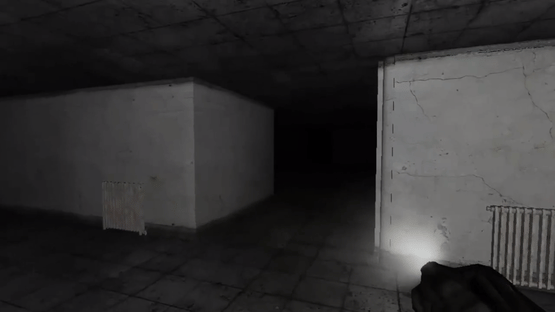 The Rake: Back To Asylum Screenshot