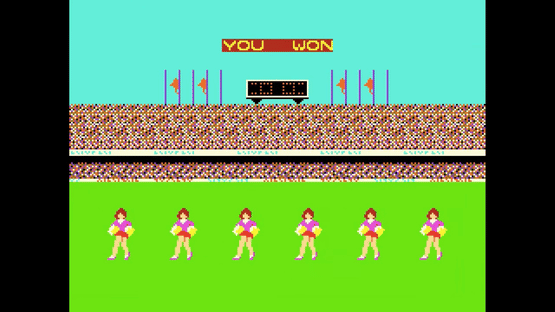 Indoor Soccer Screenshot