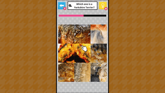 Brain Challenge Spot the Real One! Screenshot