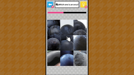 Brain Challenge Spot the Real One! Screenshot
