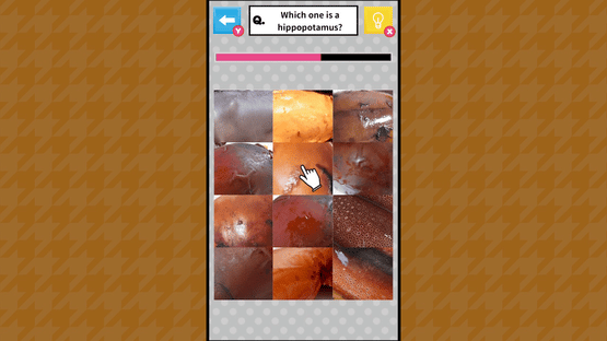 Brain Challenge Spot the Real One! Screenshot