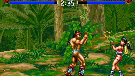 Tao Taido Screenshot