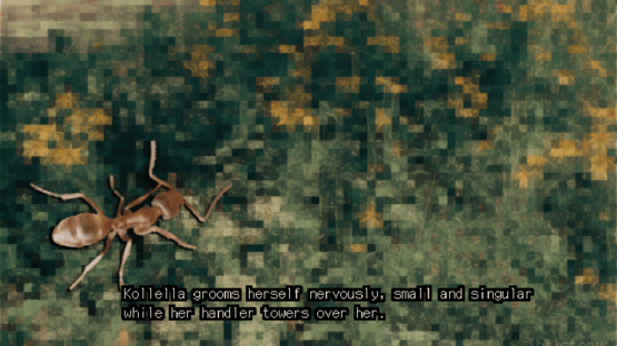 Outside Agent Screenshot