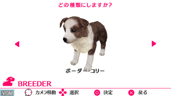 The Dog: Happy Life Screenshot