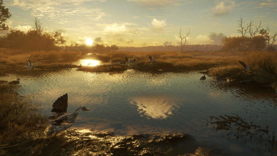 TheHunter: Call of the Wild - Salzwiesen Park Screenshot