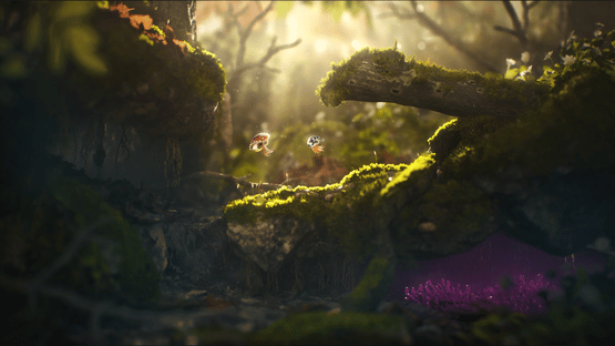 Decoration background