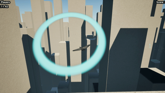 Birb Game Screenshot