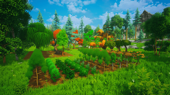 My Money Grows On Trees Screenshot