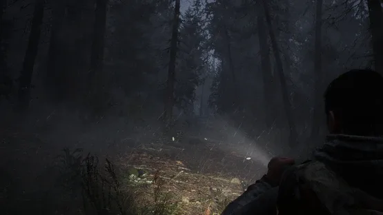 Whispers in the Fog screenshot 7