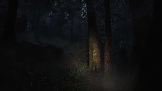 Whispers in the Fog screenshot 11