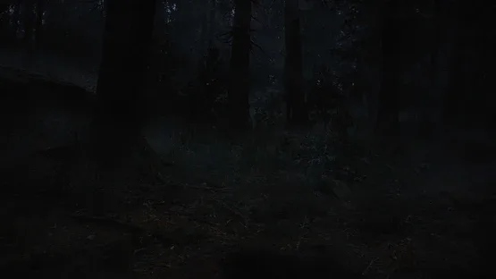 Whispers in the Fog screenshot 1