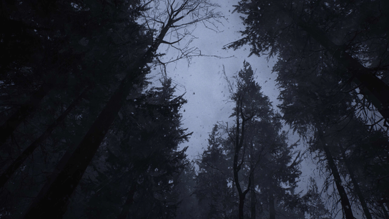 Whispers in the Fog Screenshot