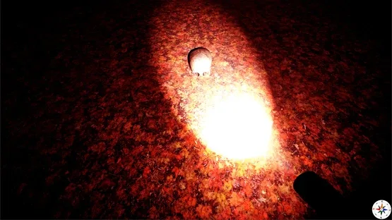 Disappeared screenshot 2