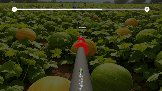 The Jumping Melon Rush 2 Screenshot