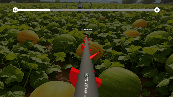 The Jumping Melon Rush 2 Screenshot