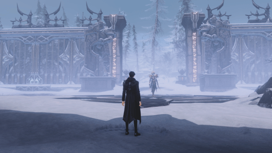 Solo Leveling: Arise Overdrive Screenshot