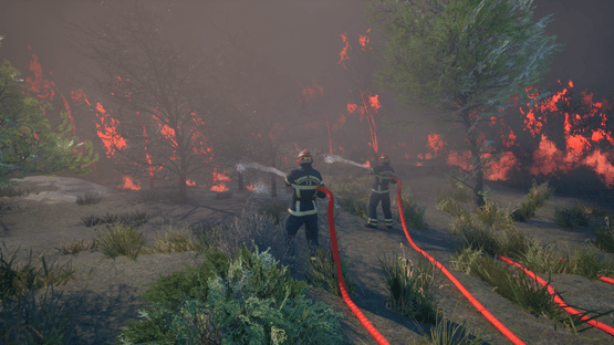 Rescue Ops: Wildfire Screenshot