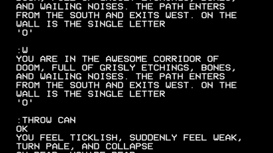 Castle of Riddles Screenshot