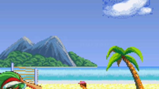 Leisure Suit Larry: Bikini Beach Volleyball Screenshot