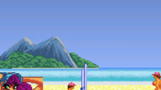 Leisure Suit Larry: Bikini Beach Volleyball Screenshot