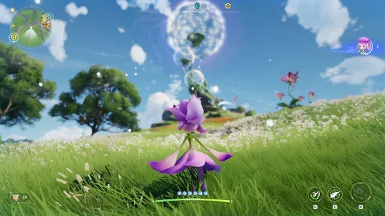 Aniimo screenshot 1
