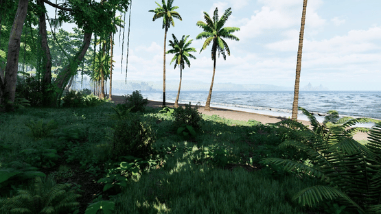 Decoration background
